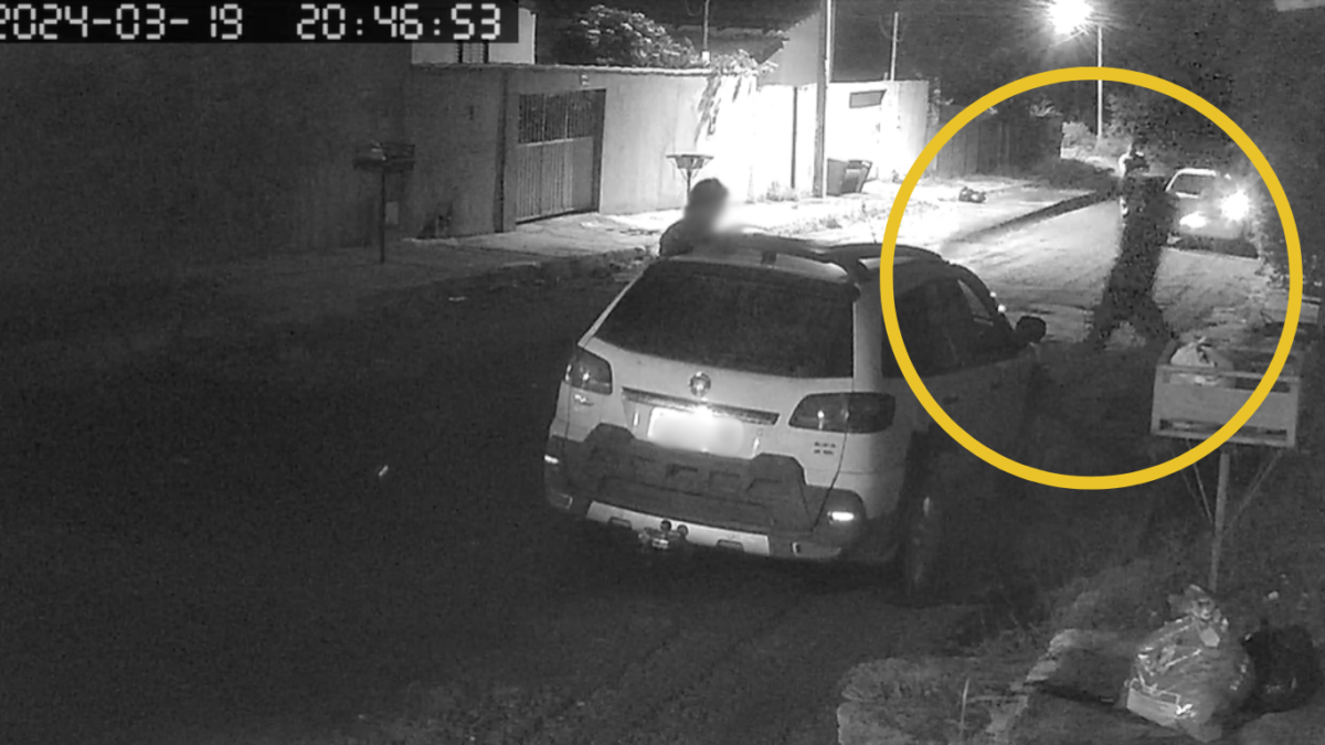 Polícia Civil prende homem em flagrante por matar cachorro a pauladas, em Caiapônia
